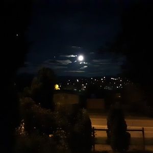 Meet your Posher, Lee